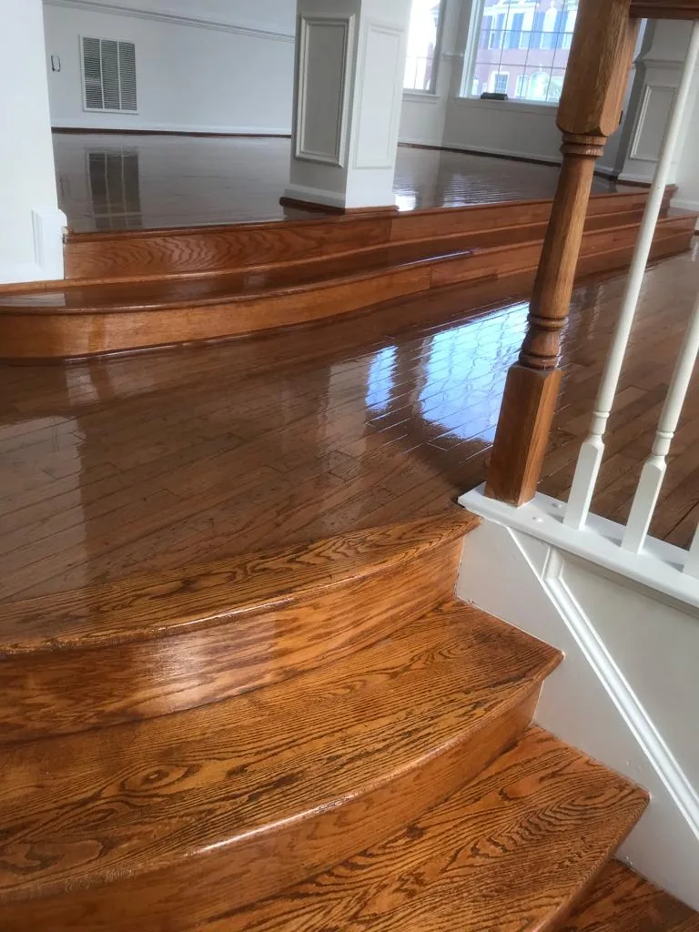 Glossy hardwood stair treads curving up to a landing, with white risers and a painted balustrade.